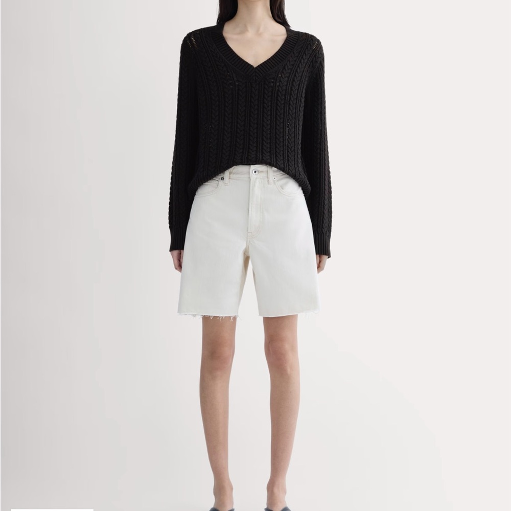 NWT Everlane OG Baggy Short W27